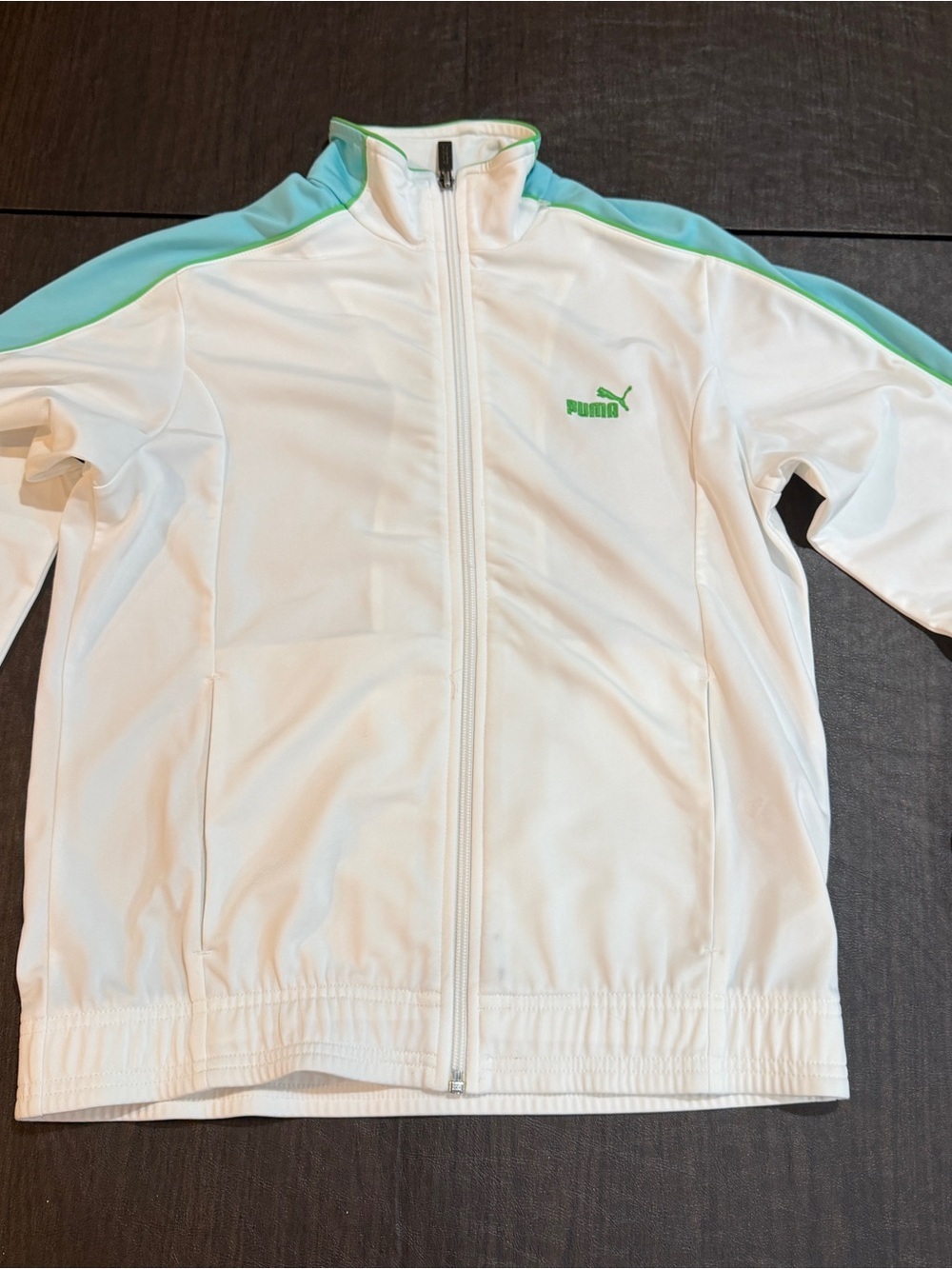 Puma Track Jacket Size Small Women's Blue and Green Accents